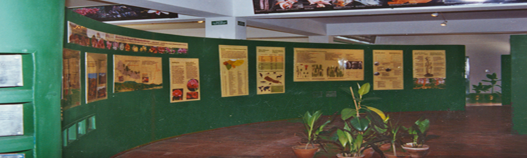 Godawari Exhibition